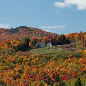 A house sits on a hill surrounded by autumn foliage.