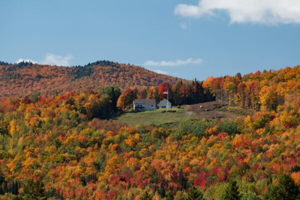 A house sits on a hill surrounded by autumn foliage.