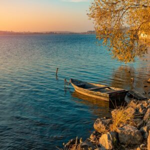 brown wooden boat on body of water during daytime